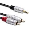 QOLTEC 52339 Cable 2xRCA Mini Jack 3.5mm male 1m Juodas