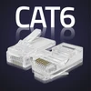 Qoltec RJ45 modulinis jungtis CAT6 UTP auksuotos kontaktai 10 vnt