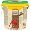 sera Auksinių žuvų granulės Nature 2,9kg/10 L