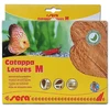 SERA Catappa lapai M 18 cm