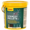 Sera Sterlet granuliukai 3,8 L (2kg)