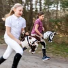 Skippi Didelis žaislinis arkliukas su pavadėliu, vaikams nuo 3 metų
