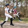 Skippi Didelis žaislinis arkliukas su pavadėliu, vaikams nuo 3 metų