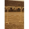 Šuolių kliūtis šviesiai smėlio spalvos medinė 120 cm