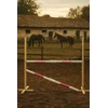 Šuolių kliūtis hobby horse 160 cm rožinė su dviem kartelėmis
