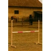 Super Hobby Horse Šuolių kliūtis Hobby Horse su rožine sija 120 cm