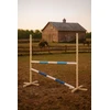 Šuolių kliūtis Hobby Horse ms 120 cm šviesiai mėlyna ir mėlyna su dviem kartimis