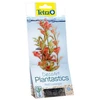 Tetra DecoArt Augalas Raudona Ludwigia M