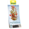 Tetra DecoArt Augalas Raudona Ludwigia S