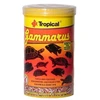 Tropical Gammarus džiovintos krevetės 1000ml