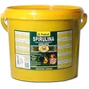 Tropical Super Spirulina Forte 5l
