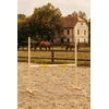 Super Hobby Horse Šokinėjimo kartis Hobby Horse geltona, 120 cm