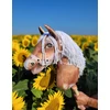 Super Hobby Horse Medinis žirgas su kotu – rudas tobiano su balta karčiais