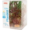 Zolux augalų dekoracija akvariumui Plantkit Wiha modelis 3, natūrali