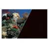 Zolux dvipusis akvariumo fonas su koralais, 60 × 120 cm, juodas