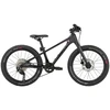 Bulls Dviratis 20" Tokee Ultra Lite Rainbow karboninis