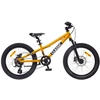 Dviratis 20 CLASSIC PRO 20+ golden classic
