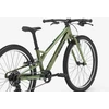 Dviratis 24" TREK Wahoo Path žalias