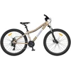 Dviratis 26 CLASSIC PRO 26 26 auksinis classic