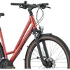 Dviratis 28 BERGAMONT VITESS 30 AMSTERDAM red bergamont