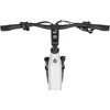 Dviratis 28" ECOBIKE LX300 36V 900 Wh 17" baltas