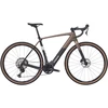 Dviratis 28" elektrinis TREK Checkpoint+ SL 5 bronzinis/juodas