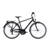 Dviratis 28 Pegasus Solero SL 24g vyr. juodas matinis