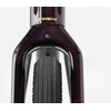Dviratis 28" TREK Checkpoint ALR 3 tamsiai raudonas
