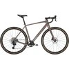 Dviratis 28" TREK Checkpoint ALR 5 bronzinis