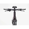 Dviratis 28" TREK FX 3 vyr. tamsiai raudonas
