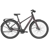 Dviratis 28" elektrinis Bergamont E-Vitess Expert mot. rudas