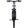 Dviratis 28" elektrinis Tenways CGO800S 374Wh unisex violetinis matinis 48cm one size