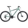 Dviratis 29 Bulls Wildtail 2 Disc vyr. 24g žalias