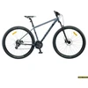 Dviratis 29 CLASSIC PRO 29 Disc 24spetallic classic