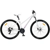 Dviratis 29 CLASSIC PRO LADY 29 21s 29 classic