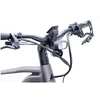 Dviratis 29" elektrinis Bulls Vuca Evo Speed FSX1 960Wh pilkas