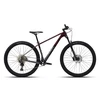 Dviratis 29" POLYGON SYNCLINE C3 Rudas/Pilkas
