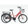 Kita Triratis Bissan Bike PORTER 24 raudonas