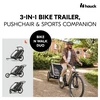 Vežimėlis vaikams prie dviračio Hauck N Walk Duo pilkas