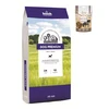 bosch Dog Premium 20kg + BEMO arklienos skanėstai 130g