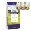 bosch Dog Premium 20kg + BEMO stirnos skanėstai 130g x 3