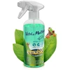 Stiklų ir paviršių valiklis VETRI E MULTIUSO 500ml