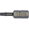 Yato Toya Sa Poland Antgalių rinkinys | 6.3 mm (1/4") | T-star (Torx) T10 | S2 | 10 vnt.(YT-78141)