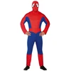 Superhero kostiumas vyrams