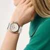 Laikrodis ASTON MARTIN WATCHES MTRS1F504