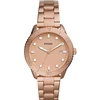 Laikrodis FOSSIL DAYLE BQ3596