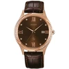 Laikrodis ORIENT FUNF8001T0