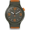 Laikrodis SWATCH WATCHES modelis SO27M101