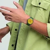 Laikrodis SWATCH WATCHES SO29G103