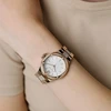 Laikrodis MICHAEL KORS LENNOX MK7362